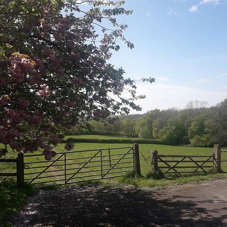 Moaps Farm B&B Support Small Business, Welcome, Check In From 5 Pm Danehill ภายนอก รูปภาพ