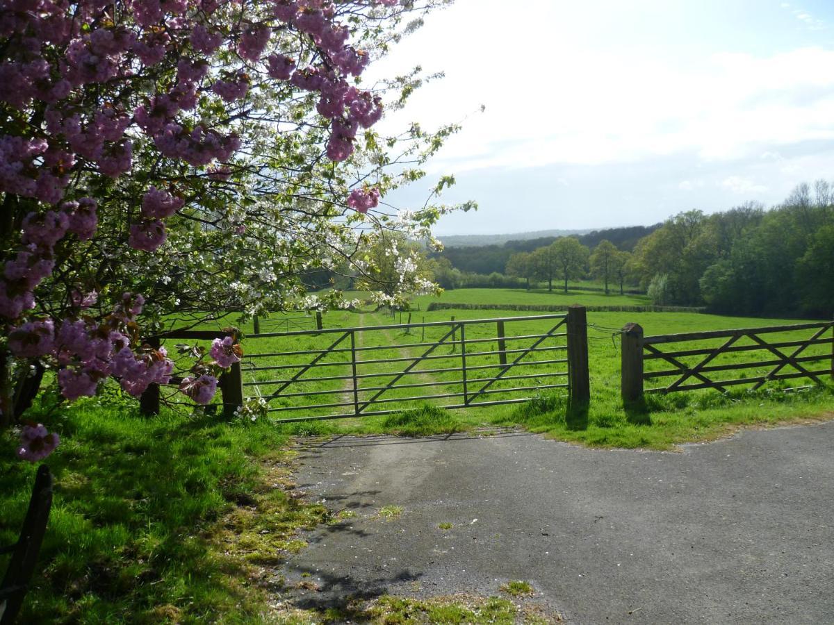 Moaps Farm B&B Support Small Business, Welcome, Check In From 5 Pm Danehill ภายนอก รูปภาพ