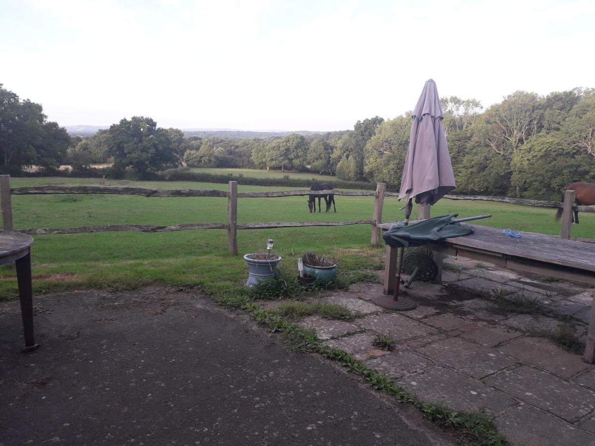 Moaps Farm B&B Support Small Business, Welcome, Check In From 5 Pm Danehill ภายนอก รูปภาพ