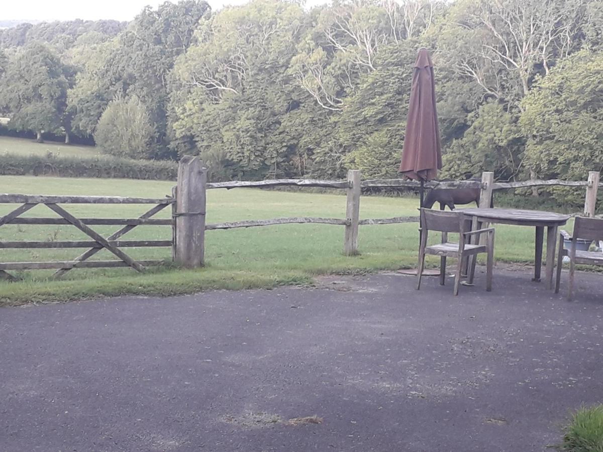 Moaps Farm B&B Support Small Business, Welcome, Check In From 5 Pm Danehill ภายนอก รูปภาพ