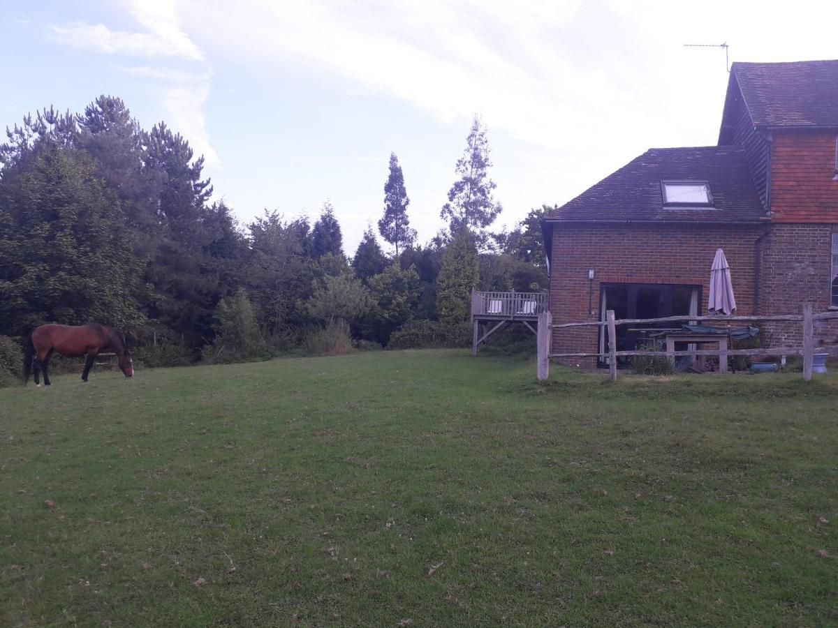 Moaps Farm B&B Support Small Business, Welcome, Check In From 5 Pm Danehill ภายนอก รูปภาพ
