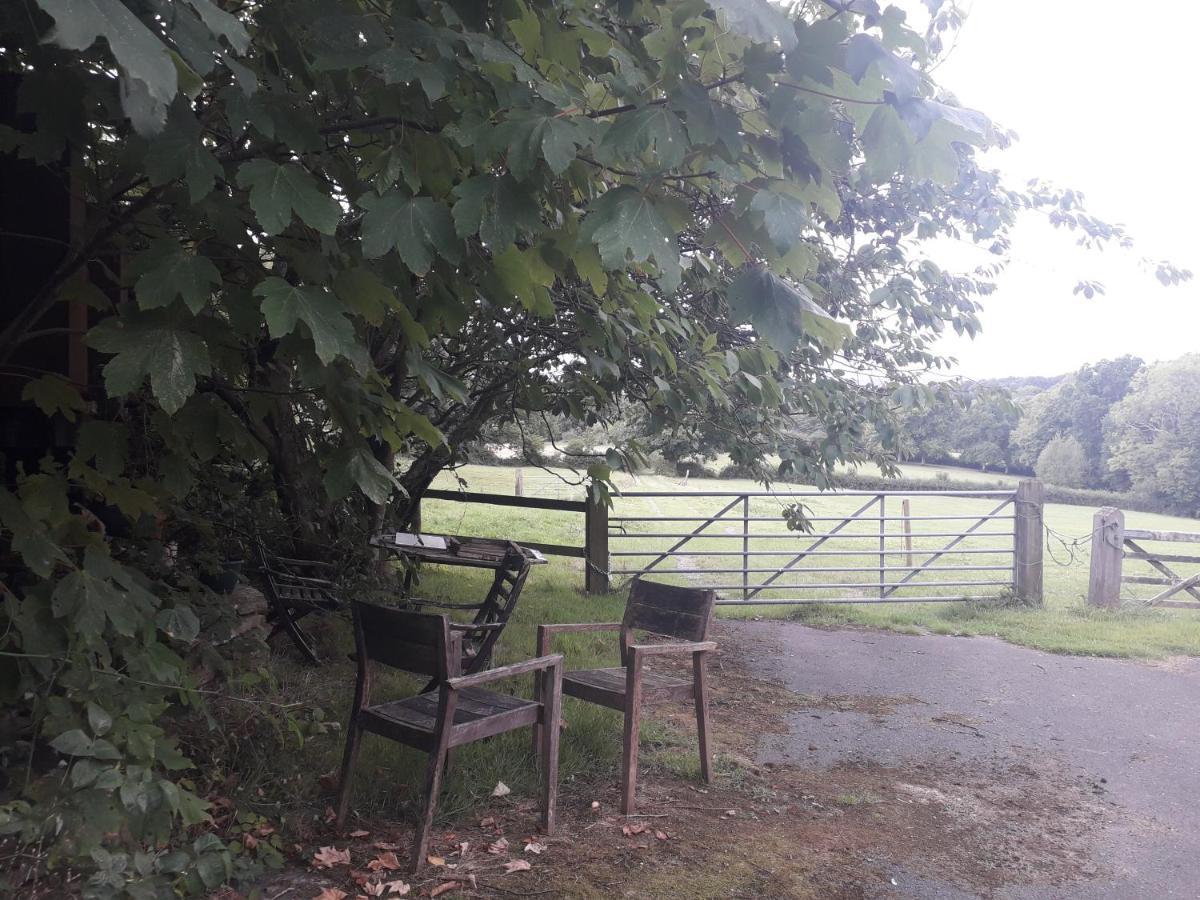 Moaps Farm B&B Support Small Business, Welcome, Check In From 5 Pm Danehill ภายนอก รูปภาพ
