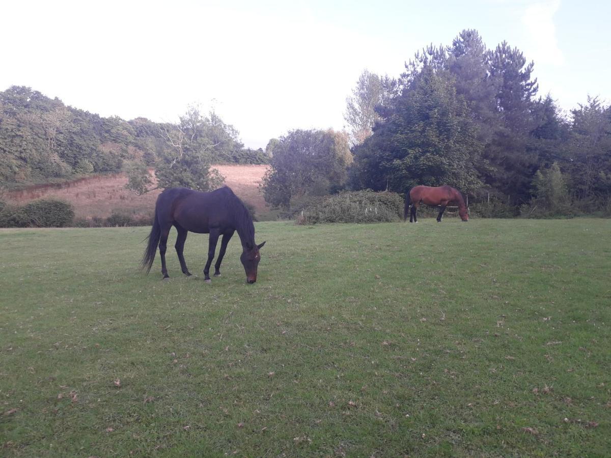 Moaps Farm B&B Support Small Business, Welcome, Check In From 5 Pm Danehill ภายนอก รูปภาพ
