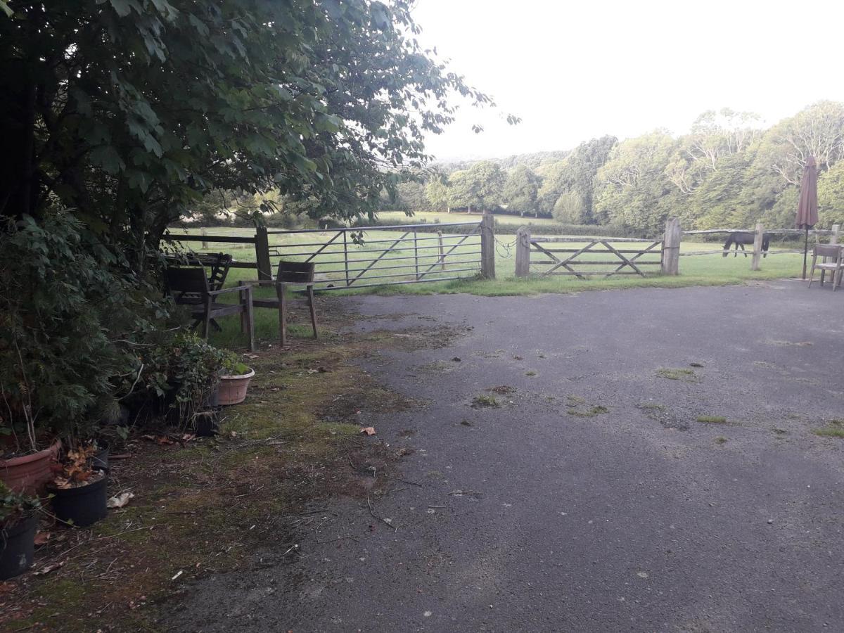 Moaps Farm B&B Support Small Business, Welcome, Check In From 5 Pm Danehill ภายนอก รูปภาพ