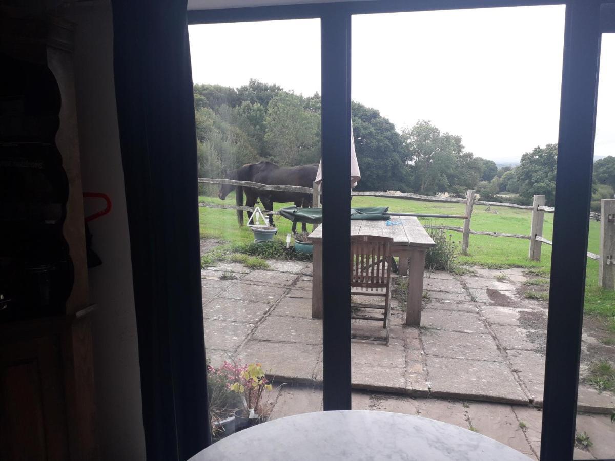 Moaps Farm B&B Support Small Business, Welcome, Check In From 5 Pm Danehill ภายนอก รูปภาพ