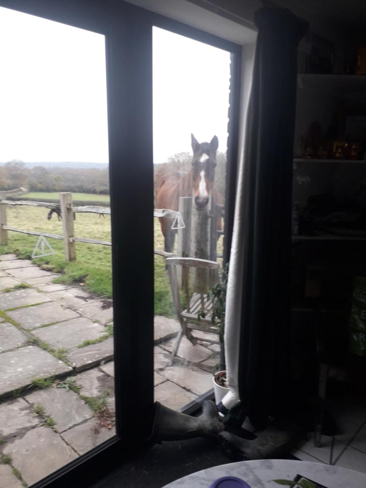 Moaps Farm B&B Support Small Business, Welcome, Check In From 5 Pm Danehill ภายนอก รูปภาพ