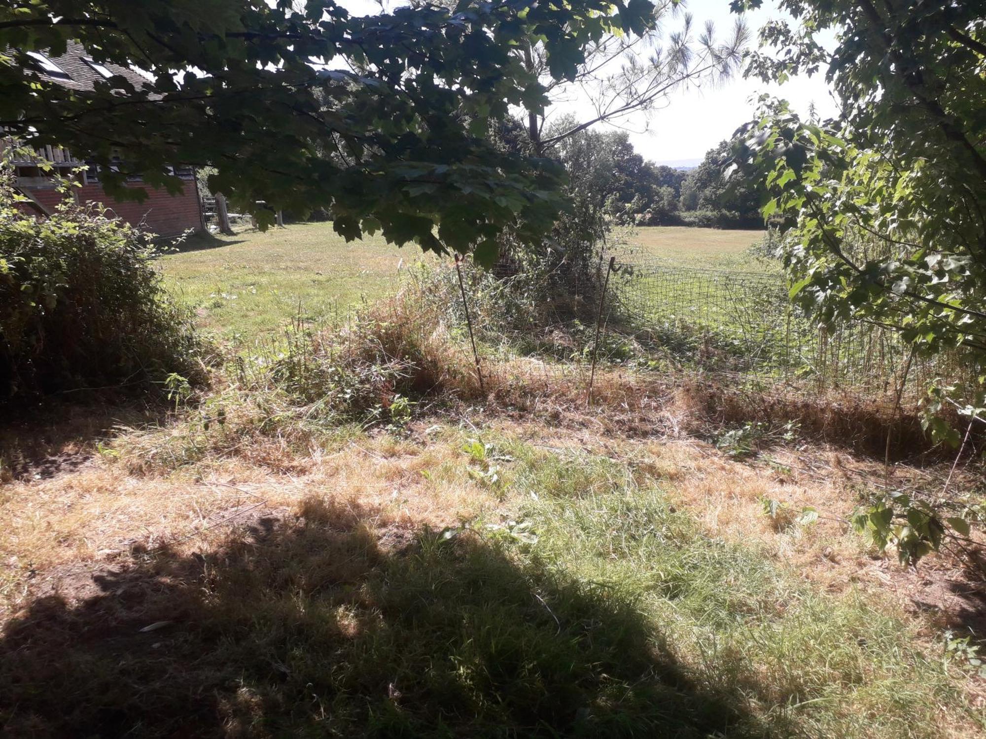 Moaps Farm B&B Support Small Business, Welcome, Check In From 5 Pm Danehill ภายนอก รูปภาพ