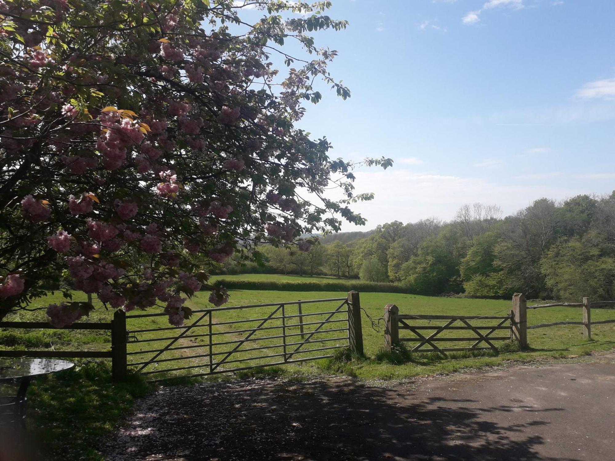 Moaps Farm B&B Support Small Business, Welcome, Check In From 5 Pm Danehill ภายนอก รูปภาพ